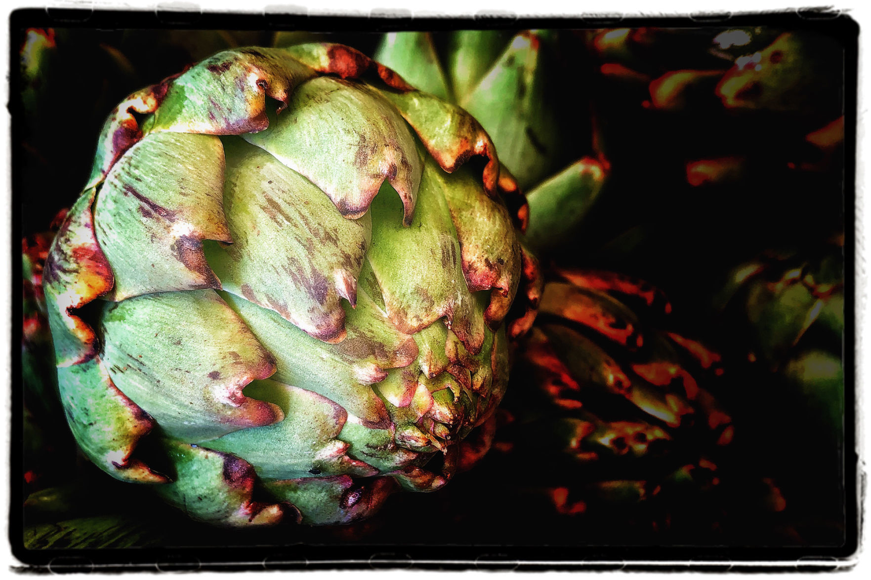 Farmers Market Produce